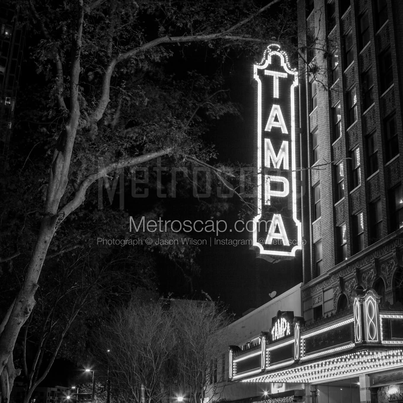 Tampa Black & White Landscape Photography