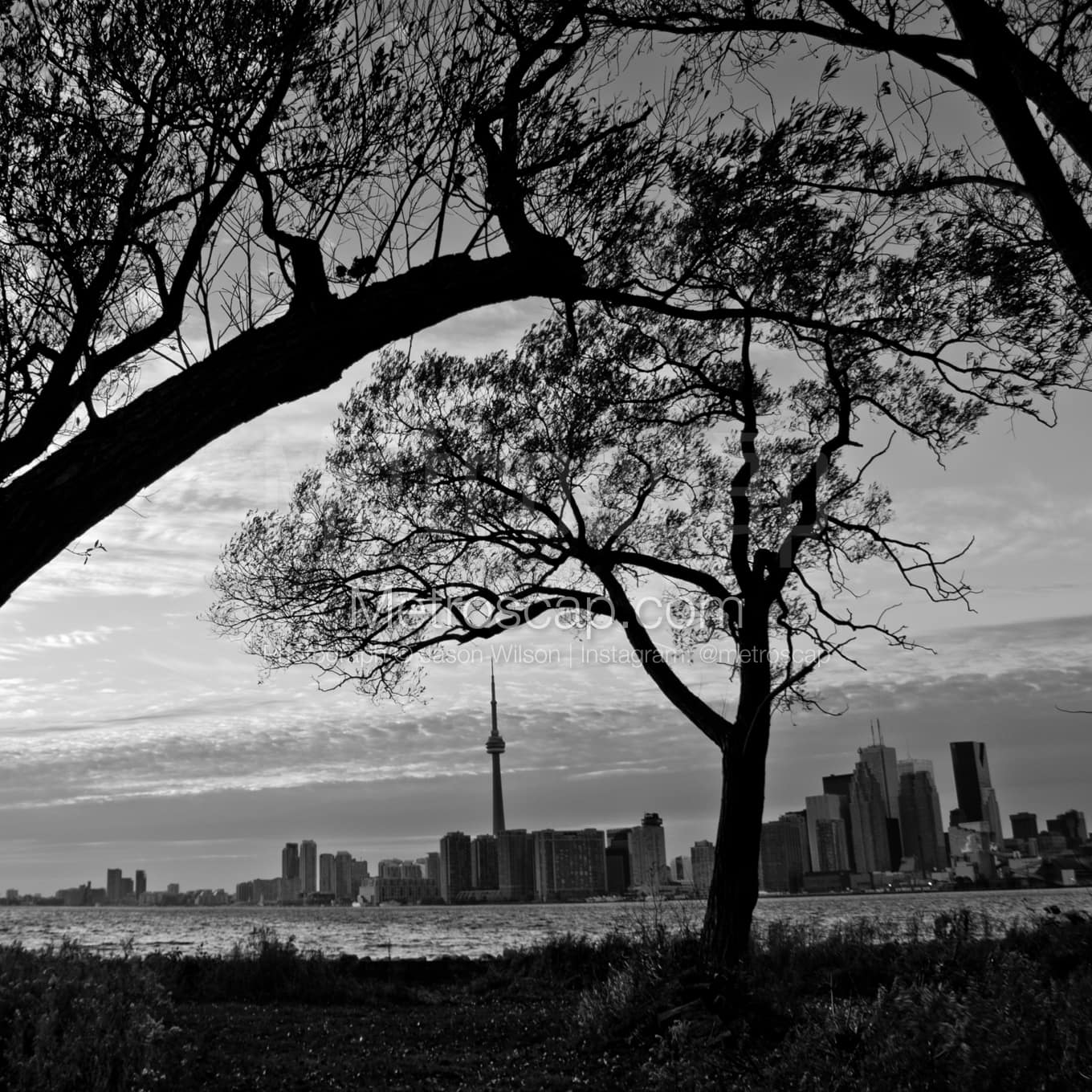 Toronto Black & White Landscape Photography